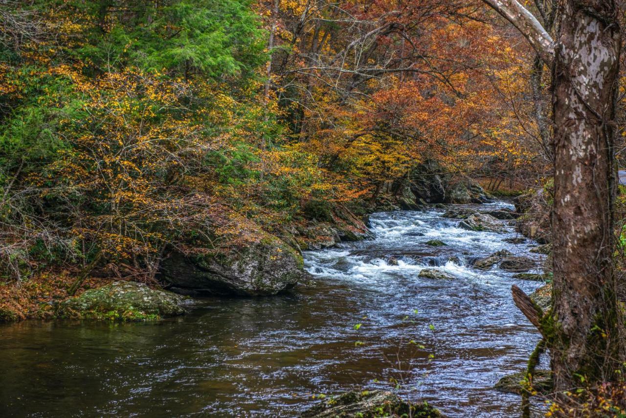 Two Bears Cabin Wear Valley Bagian luar foto